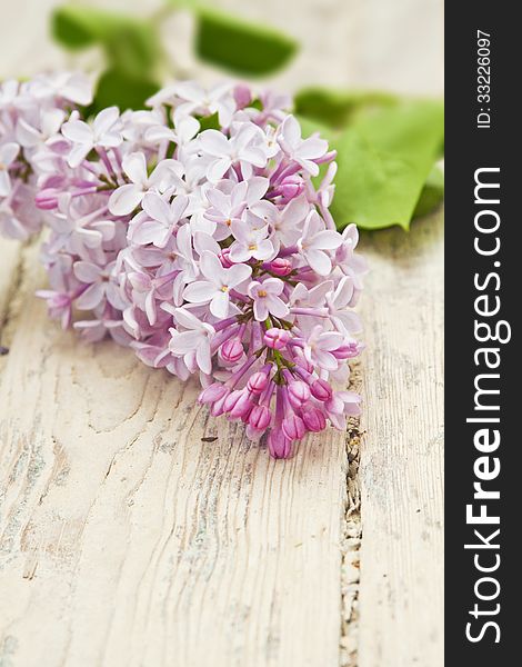 Purple lilac branch on white wooden table. Purple lilac branch on white wooden table