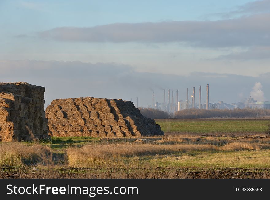 haystacks on the background of the plant