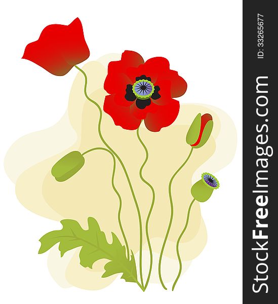 Vector poppies isolated on a beige background. Vector poppies isolated on a beige background