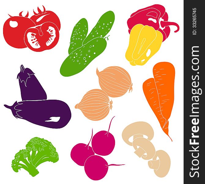 Vegetables collection, colourful illustration. Vegetables collection, colourful illustration