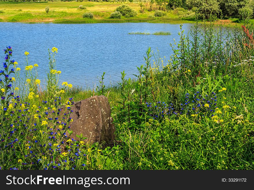 Tall Grass And Flowers On The Lake