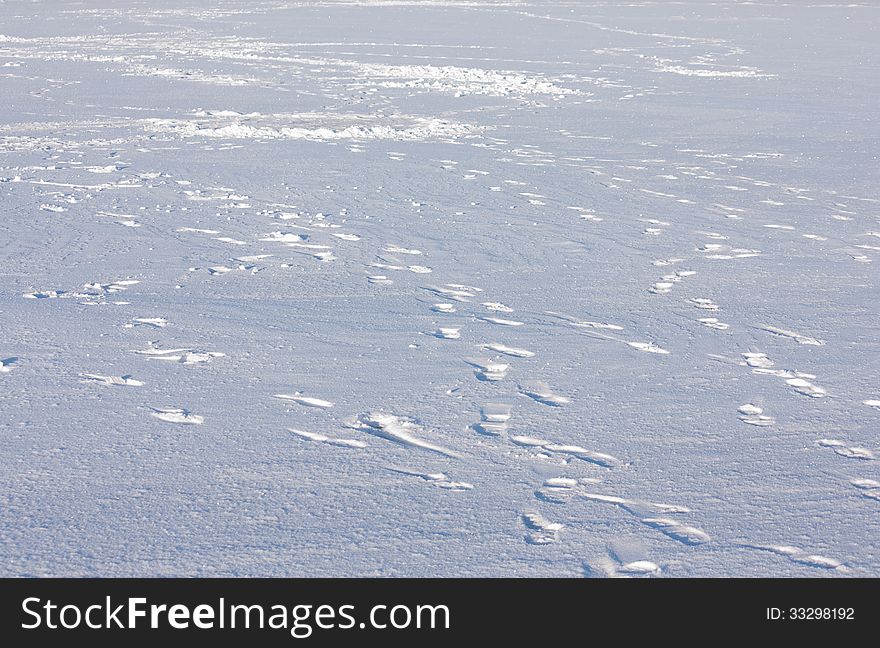Smooth snow surface with many footprints under the sow under bright sunlight. Smooth snow surface with many footprints under the sow under bright sunlight