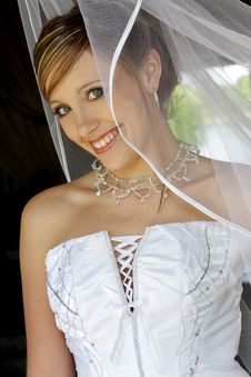 Behind Net Stock Photo Behind Net Stock Photo