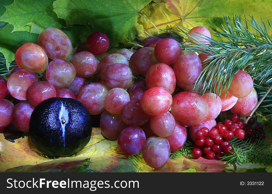 Autumn Still Life