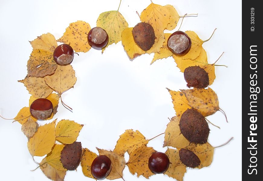 Yellow leaves with chestnuts and chestnut shells. Yellow leaves with chestnuts and chestnut shells.