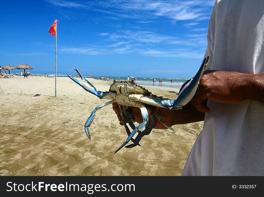 Man holding large blue crab on a sandy beach.