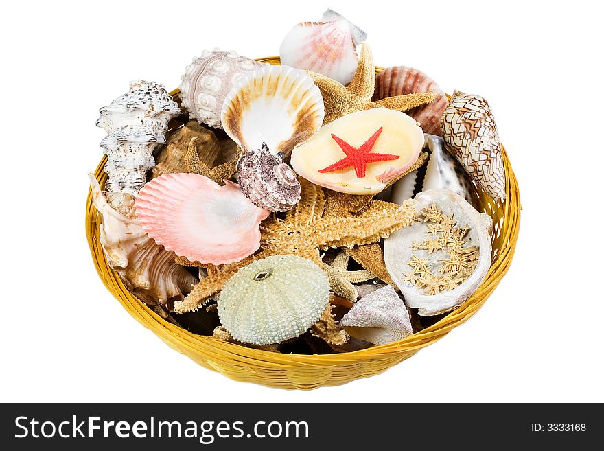 Basket full of shells and seafishes. Isolated on white