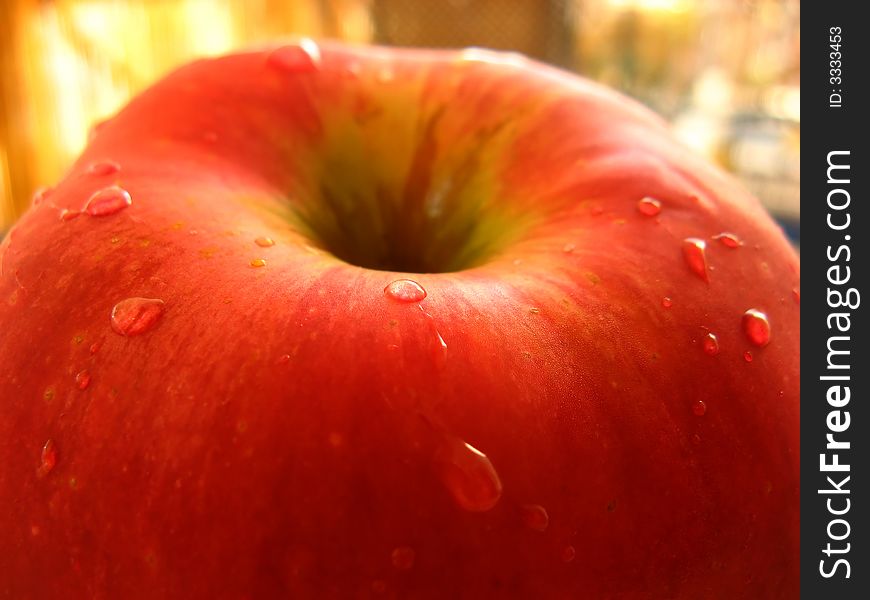 Red apple close-up with drops of water. Fresh