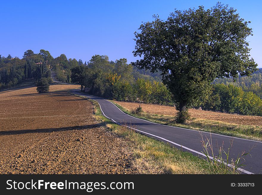 A road sneaking through a tipical italian countryside during a sunny day.