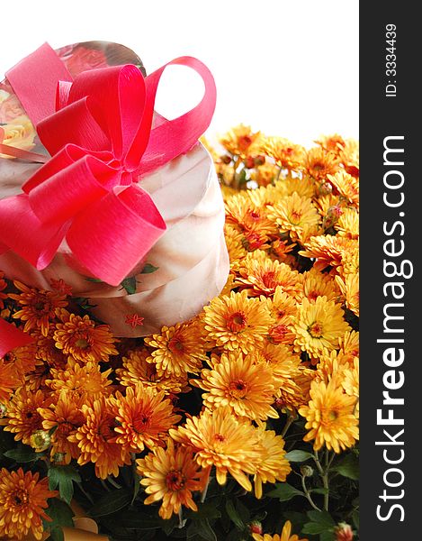 Present box with pink ribbon and bouquet of chrysanthemums. Present box with pink ribbon and bouquet of chrysanthemums