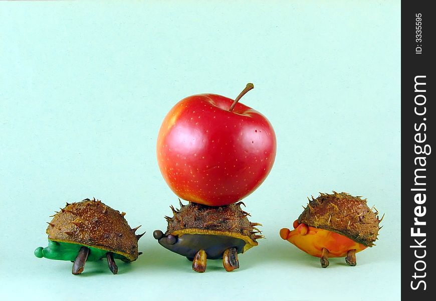Autumn composition from creative series: chestnuts hedgehogs. Autumn composition from creative series: chestnuts hedgehogs
