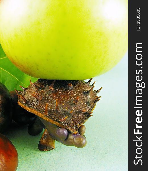 Autumn composition from creative series: chestnuts hedgehog. Autumn composition from creative series: chestnuts hedgehog