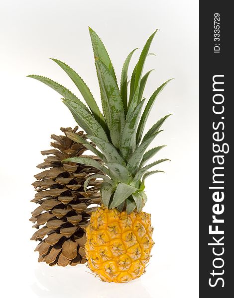 Tropical fruit pineapple with green leaves and cedar cone on a white background. Stil-life. Object. Tropical fruit pineapple with green leaves and cedar cone on a white background. Stil-life. Object