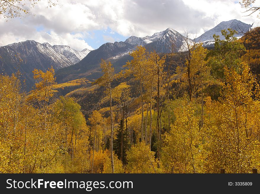 Autumn mountains and colorful trees