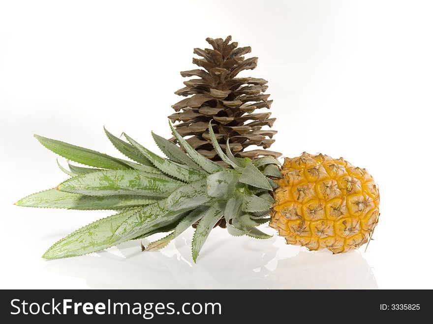 Tropical fruit pineapple with green leaves and cedar cone on a white background. Stil-life. Object. Tropical fruit pineapple with green leaves and cedar cone on a white background. Stil-life. Object