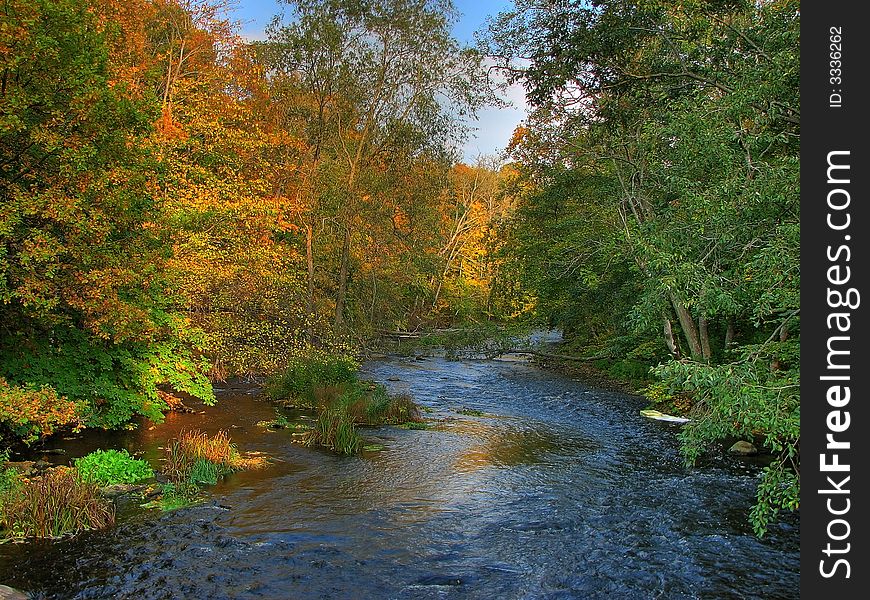 Colorful autumn river with trees red, green and yellow