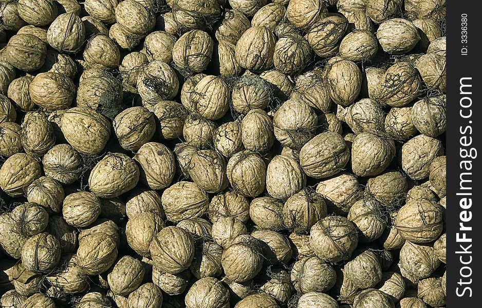 Fresh Walnuts