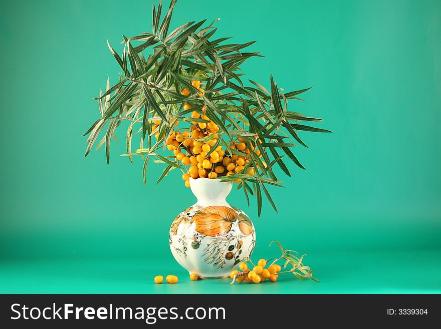 Branch of sea-buckthorn berries in a vase.