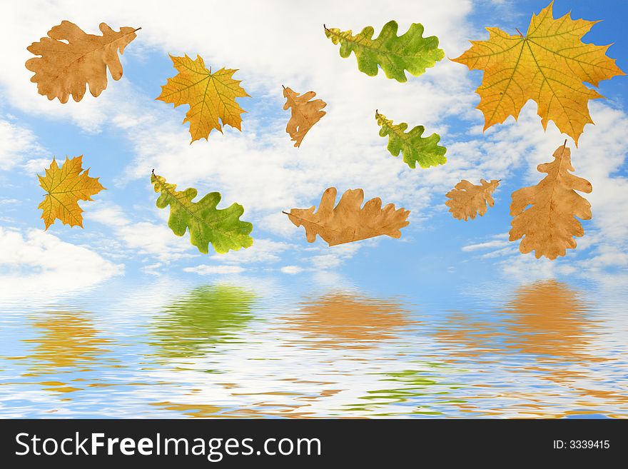 Multi-coloured autumn leaves on a background of the sky and their reflection in water.