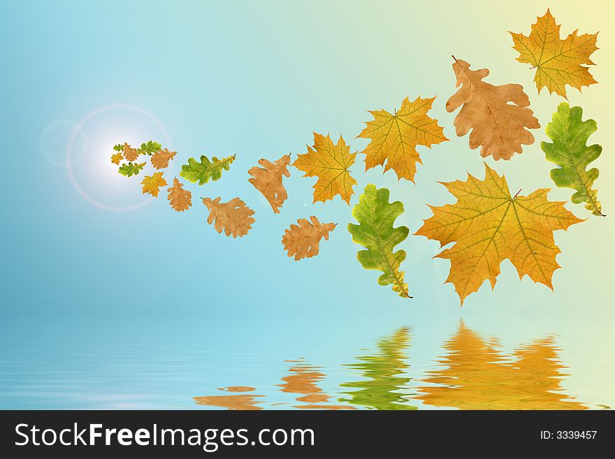 Flying multi-coloured leaves on a blue background and their reflection in water.