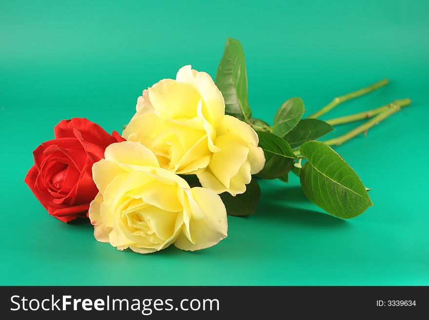 Red and yellow roses  on a green background.