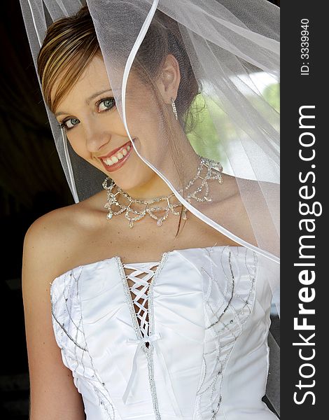 A bride standing behind net in her dress