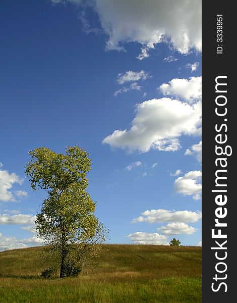 Lonely tree with clouds and blue sky background