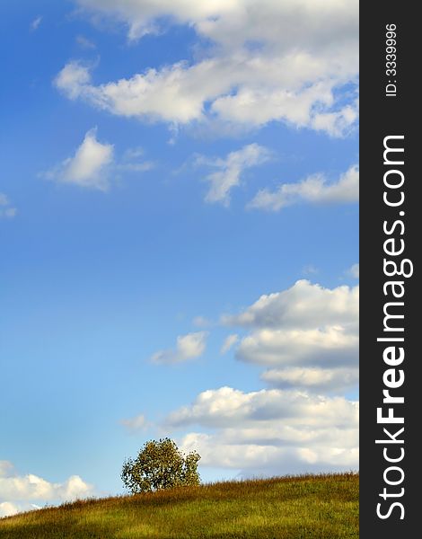 Lonely tree with clouds and blue sky background
