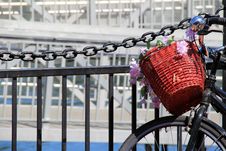 Basket And Flowers On Old Bicycle Stock Photography