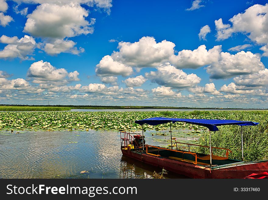 A Boat In Lotus Pond