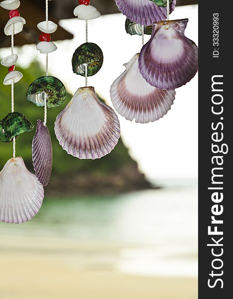 Shells Hanging