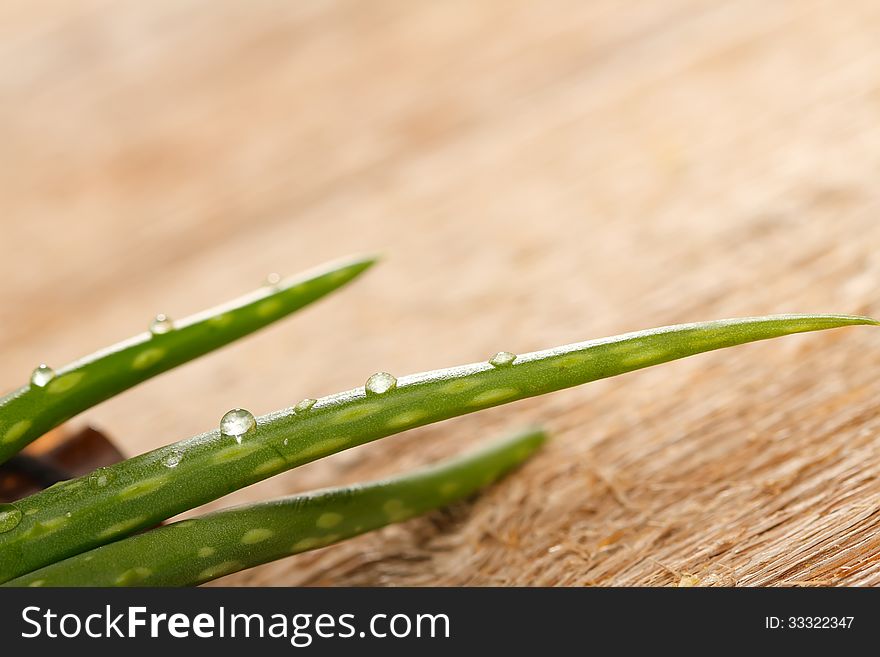 Aloe vera leaves on wooden background, close up