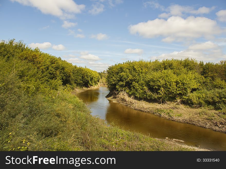 A winding stream in the forest