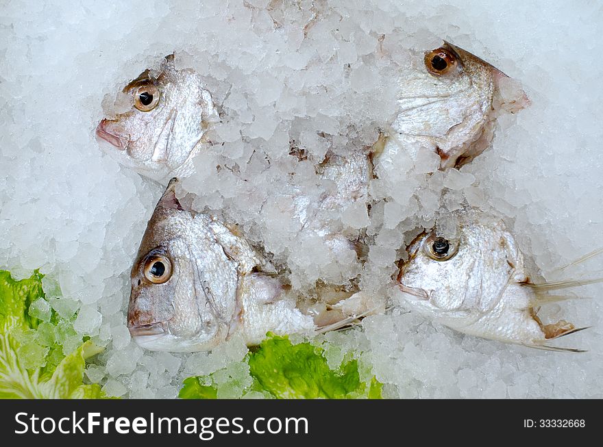 Fish heads of red snapper on ice on display at the fishermen market.