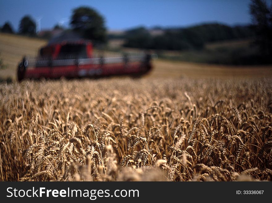 Harvester appoaching the field ready for harvest