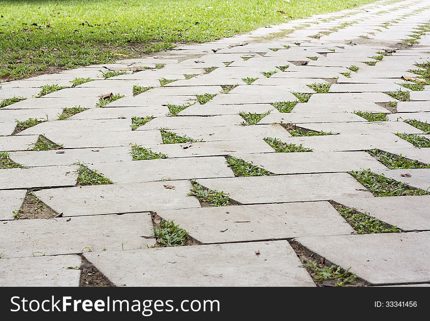Flat cement pathway in park
