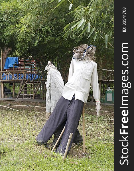 Two scarecrow in rice field