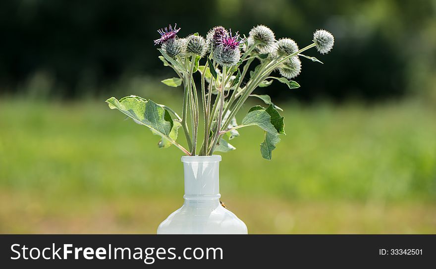 Natural Flowers In Vase