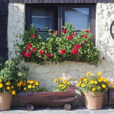 Window And Street Garden Royalty Free Stock Images Window And Street Garden Royalty Free Stock Images