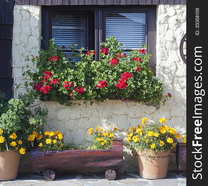 Street patio garden and window with potted plants and flowers. Street patio garden and window with potted plants and flowers.