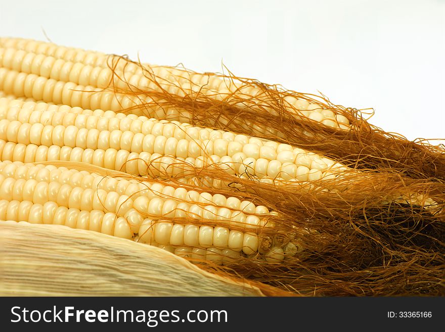 Hairy corn on white background