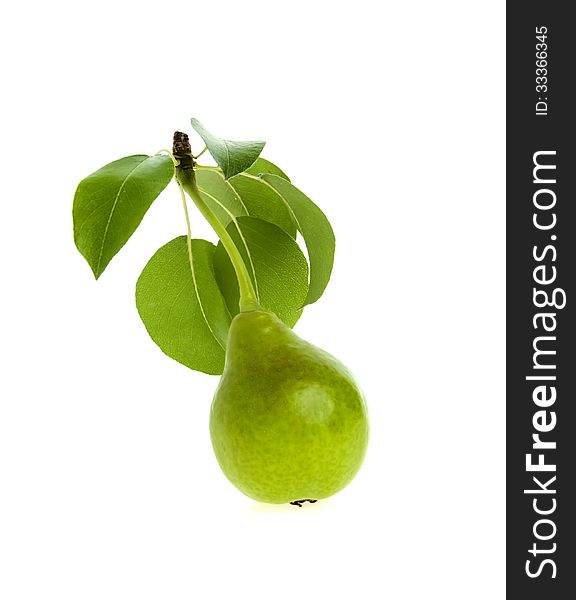 Green pear leaves on a white background
