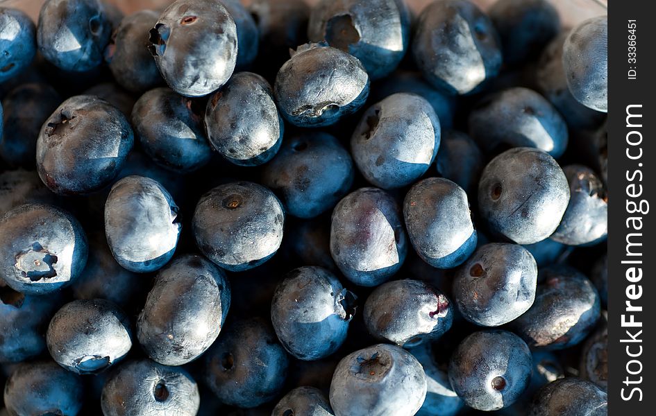 Berries of a bilberry background