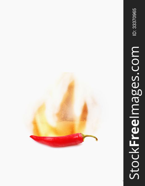 Red hot peppers on white background (details)