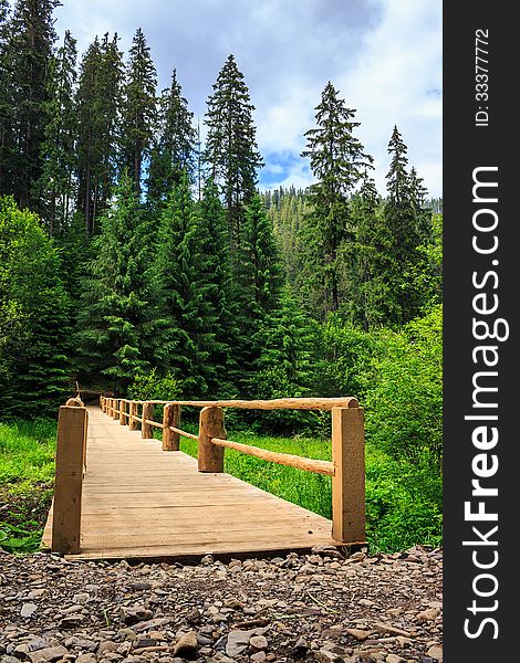 New wooden bridge leading from the unpaved road to a dense coniferous forest. vertical. New wooden bridge leading from the unpaved road to a dense coniferous forest. vertical