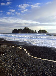 Beach, Olympic National Park Royalty Free Stock Photos Beach, Olympic National Park Royalty Free Stock Photos