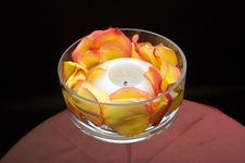 Luxury Votive Candle Surrounded By Rose Petals Royalty Free Stock Image