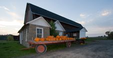 Pumpkins At A Farm Stand Stock Photos Pumpkins At A Farm Stand Stock Photos