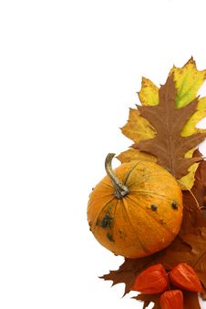 Pumpkins And Gourds On Isolate Royalty Free Stock Image Pumpkins And Gourds On Isolate Royalty Free Stock Image