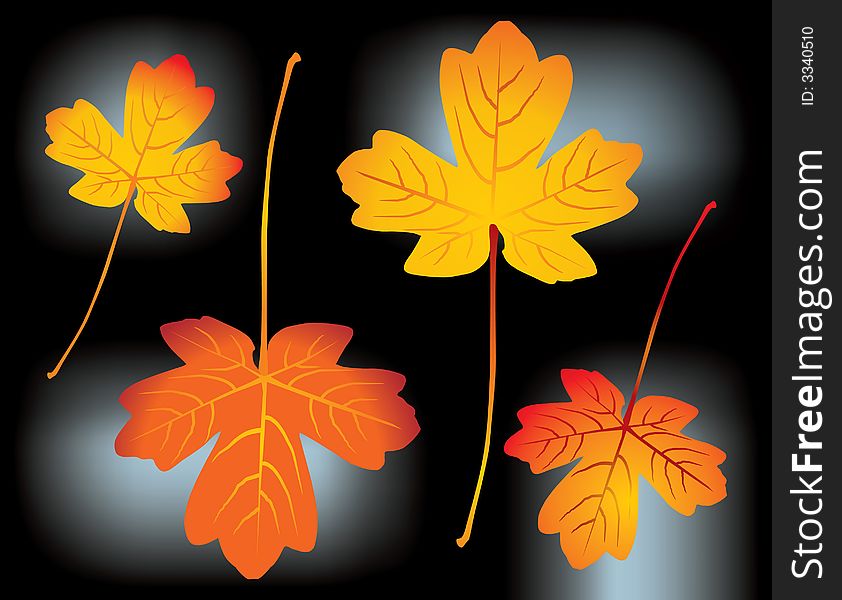 Red and yellow autumn leaves - vector illustration